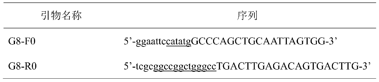 Aflatoxin B1 nano antibody immune adsorption material as well as preparation method and application thereof