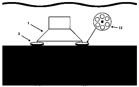 Bottom boundary layer in-situ observation system suitable for shallow water viscous seabed and arrangement method thereof