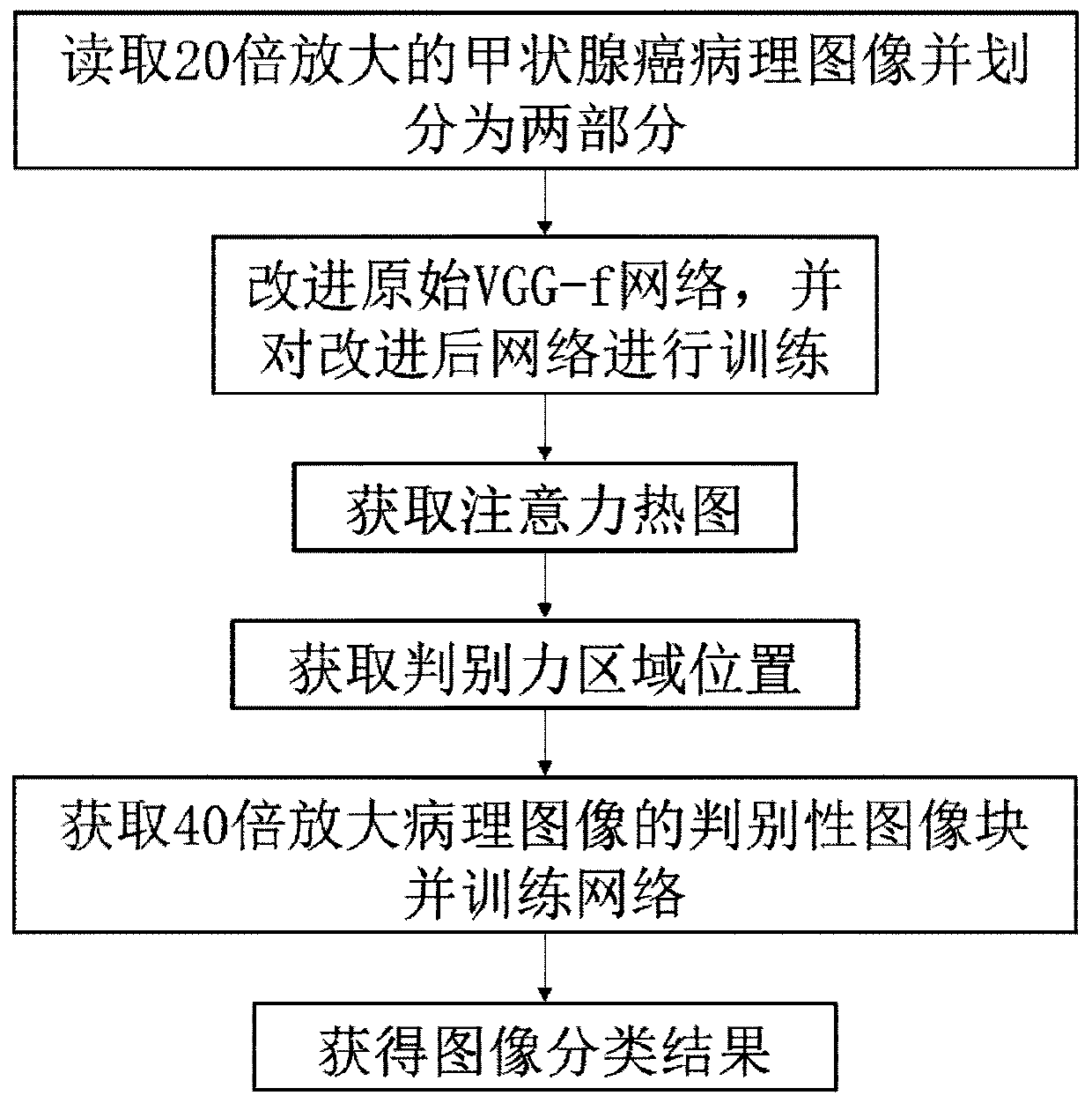 Papillary thyroid cancer pathology image classification method based on deep learning