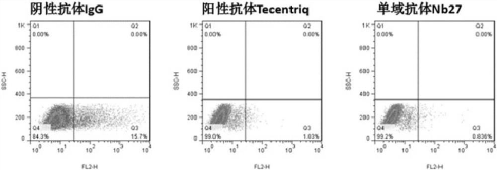 Blocking pd-l1 camel-derived single-domain antibody and use thereof