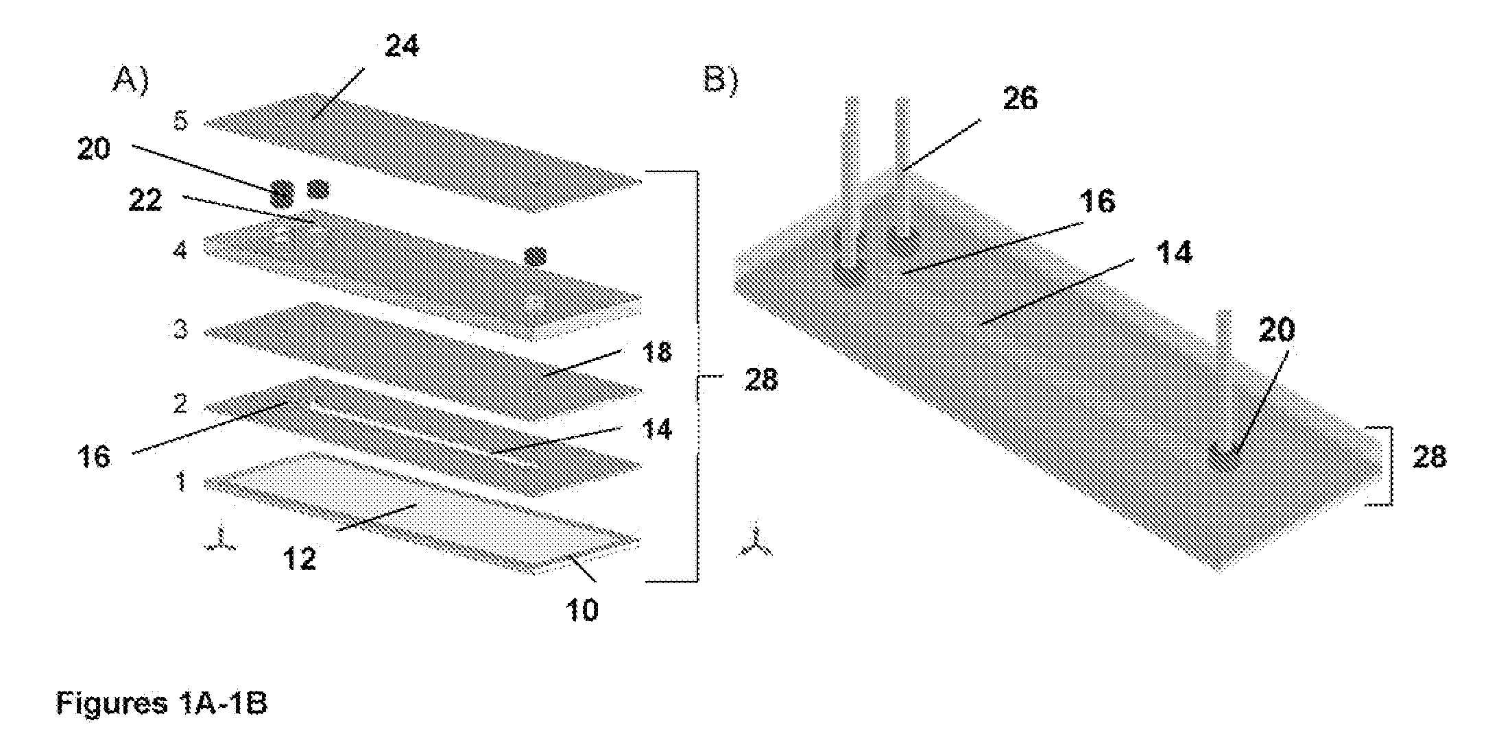 Microfluidic assay system with dispersion monitoring