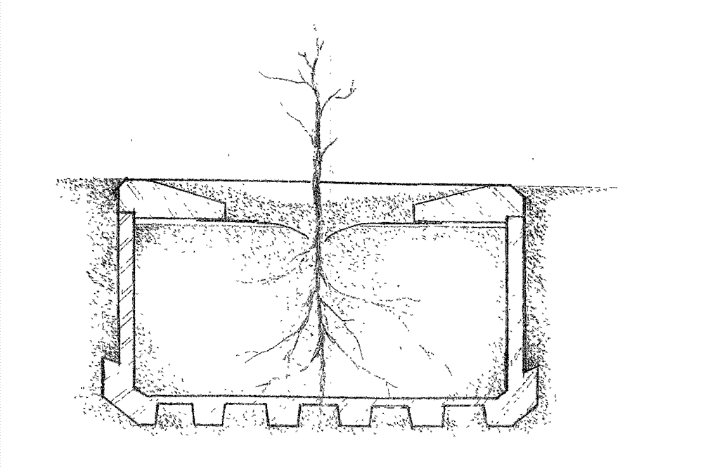 Drought-resistant vegetation brick manufactured from sludge or biogas residue and manufacturing method thereof