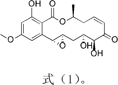 Application of a β-m-dihydroxybenzoic acid macrolide derivative in the prevention and control of harmful snails