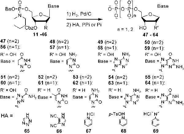 Method for synthesizing nucleoside triphosphate and nucleoside diphosphate from all-protected nucleoside phosphoramidite intermediate through acid catalysis