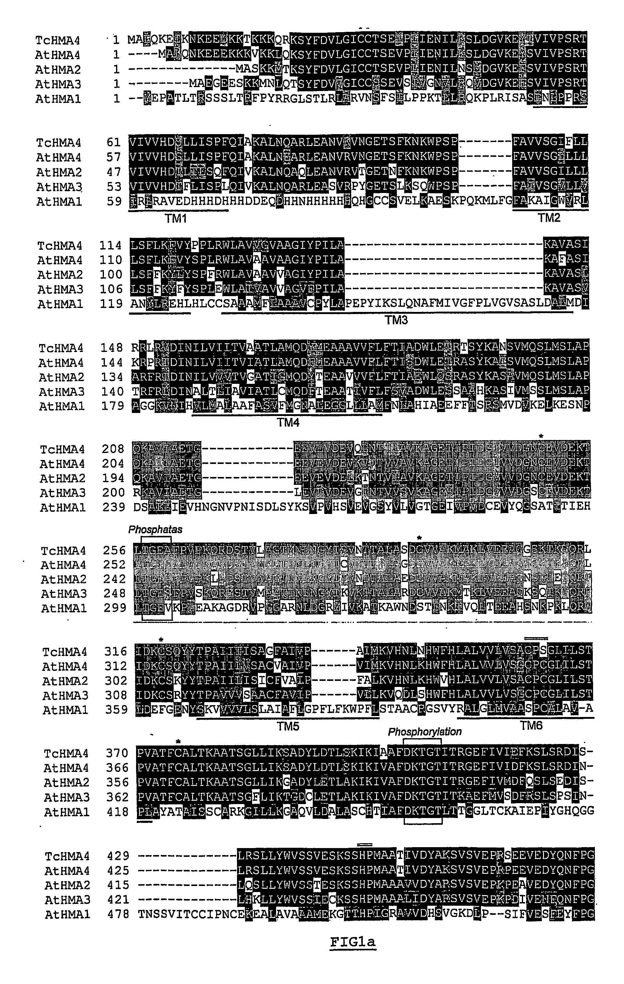 Agents for phytoremediation