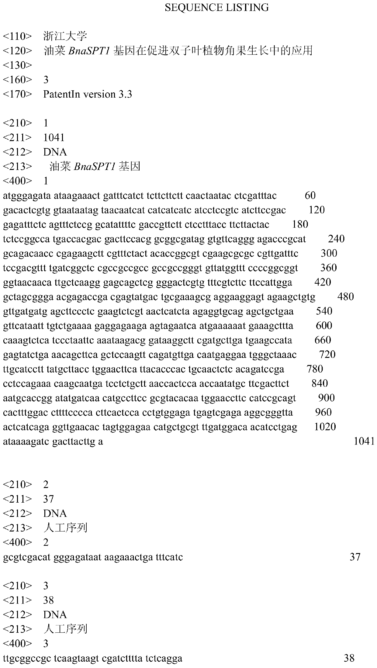 Application of Rapeseed bnaspt1 Gene in Promoting Dicotyledonous Silique Growth