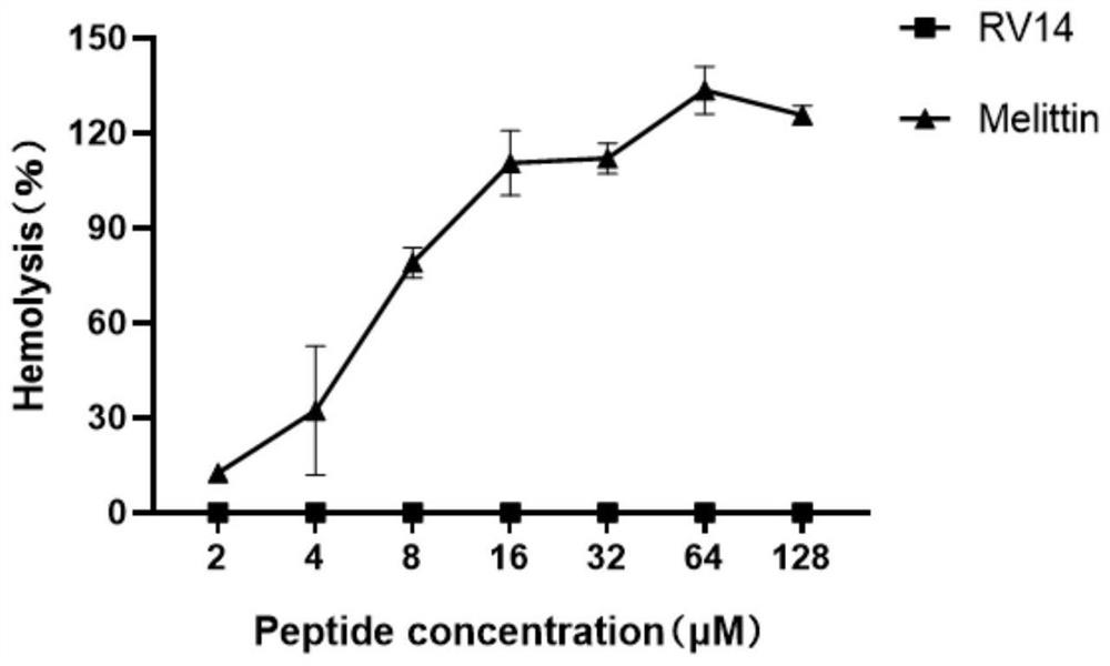 A defensin-like immunomodulatory tetradeceptide rv14 and its preparation method and application