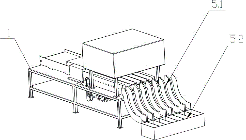 Automatic fruit sorting system