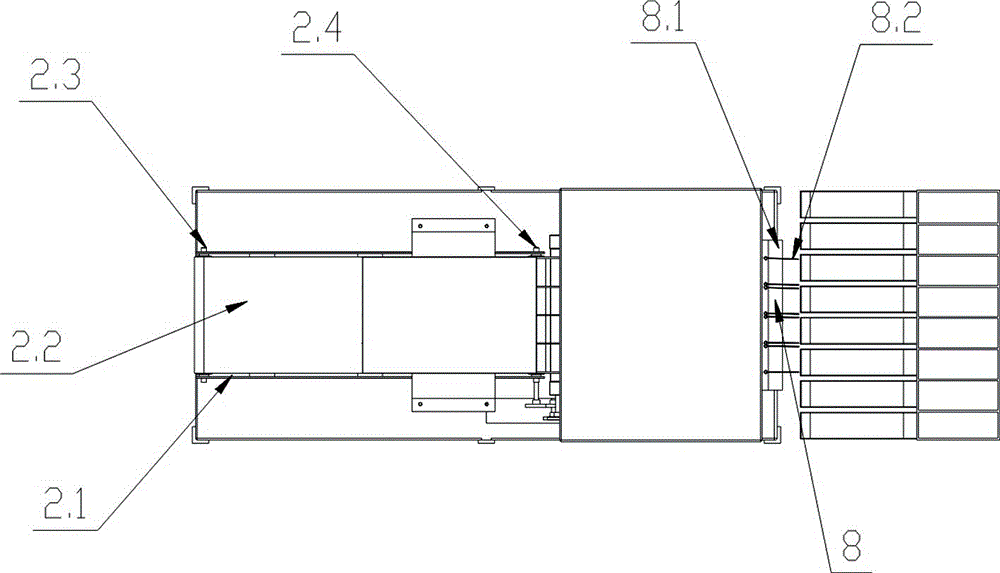 Automatic fruit sorting system