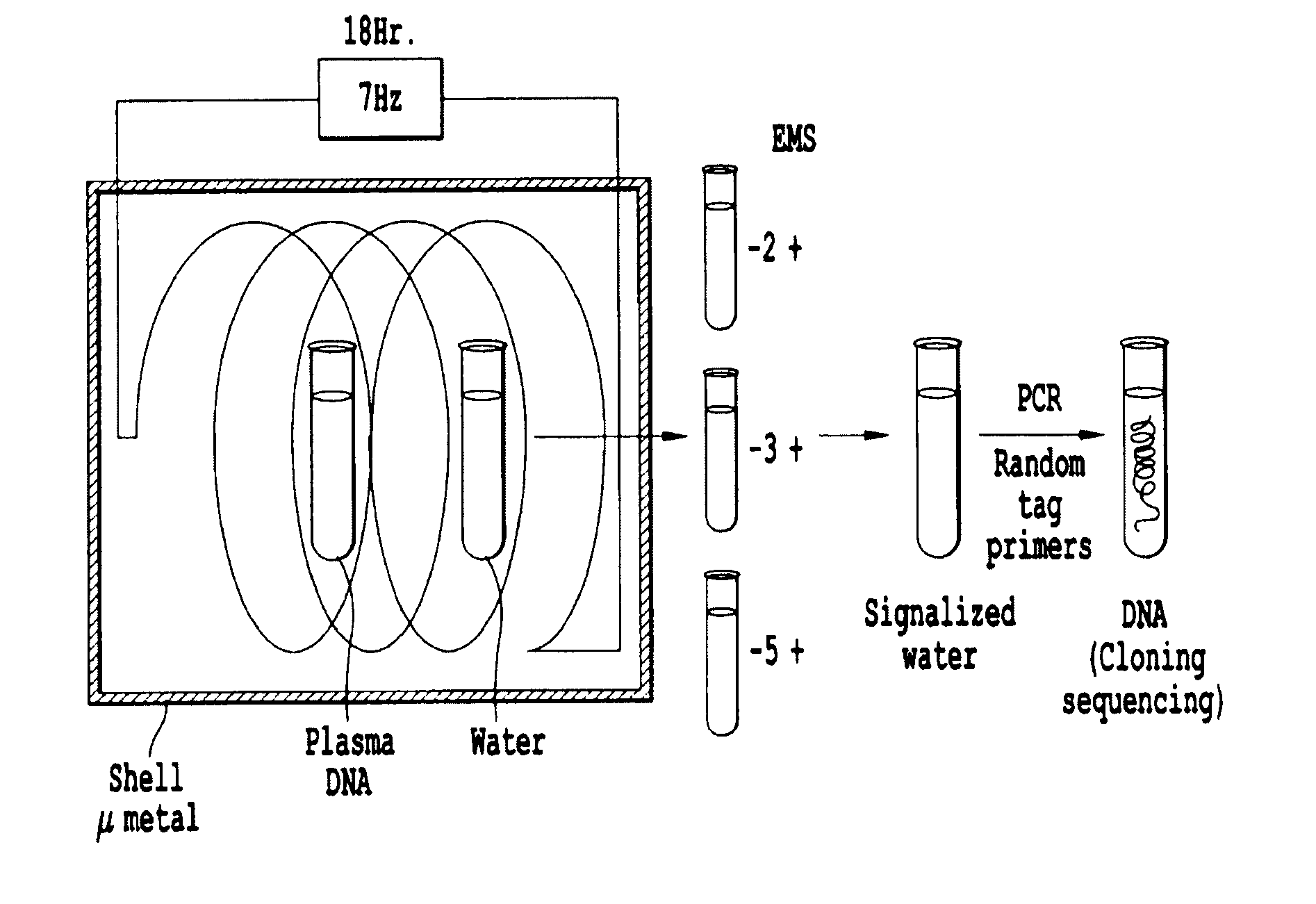 General procedure for the identification of DNA sequences generating electromagnetic signals in biological fluids and tissues