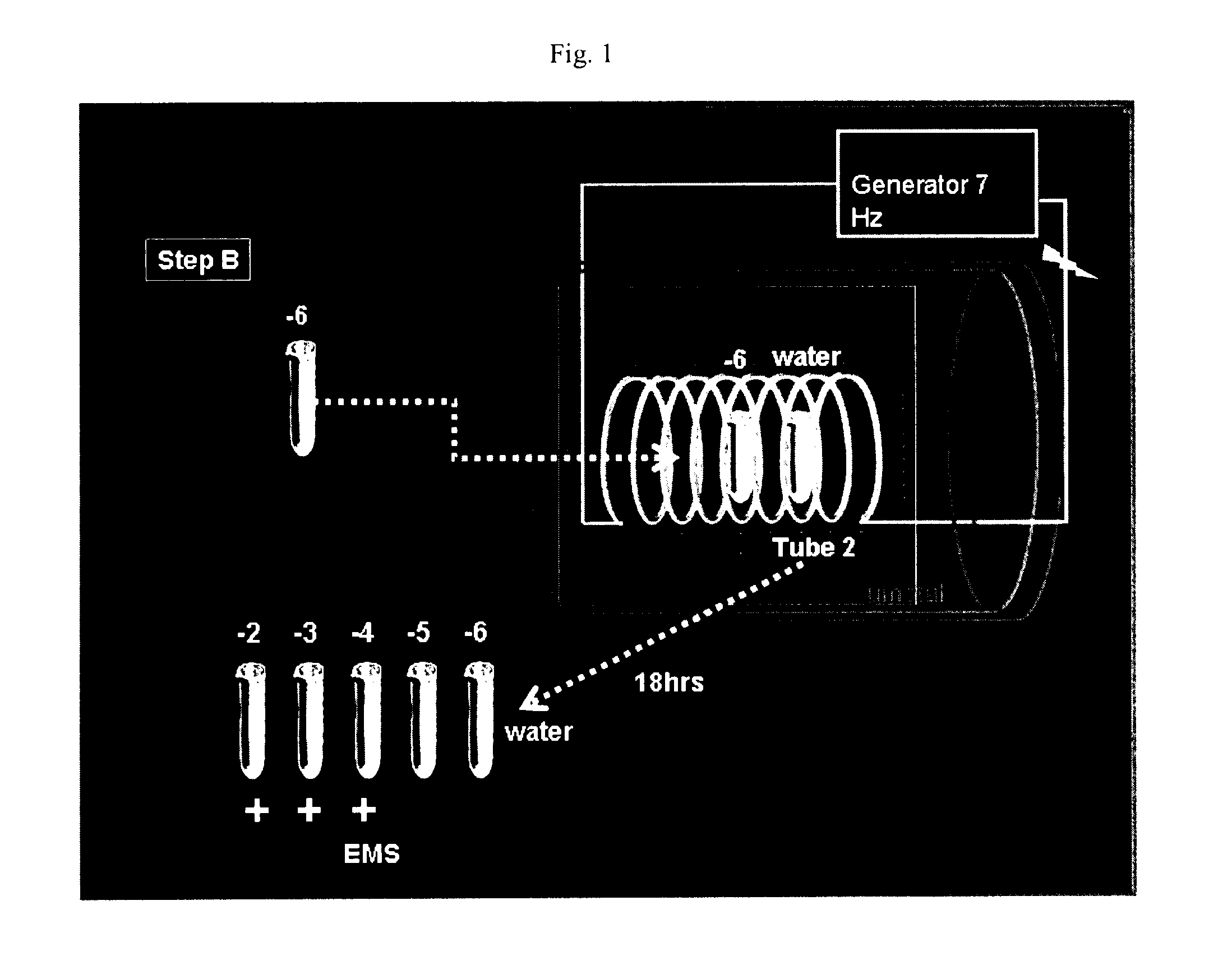 General procedure for the identification of DNA sequences generating electromagnetic signals in biological fluids and tissues