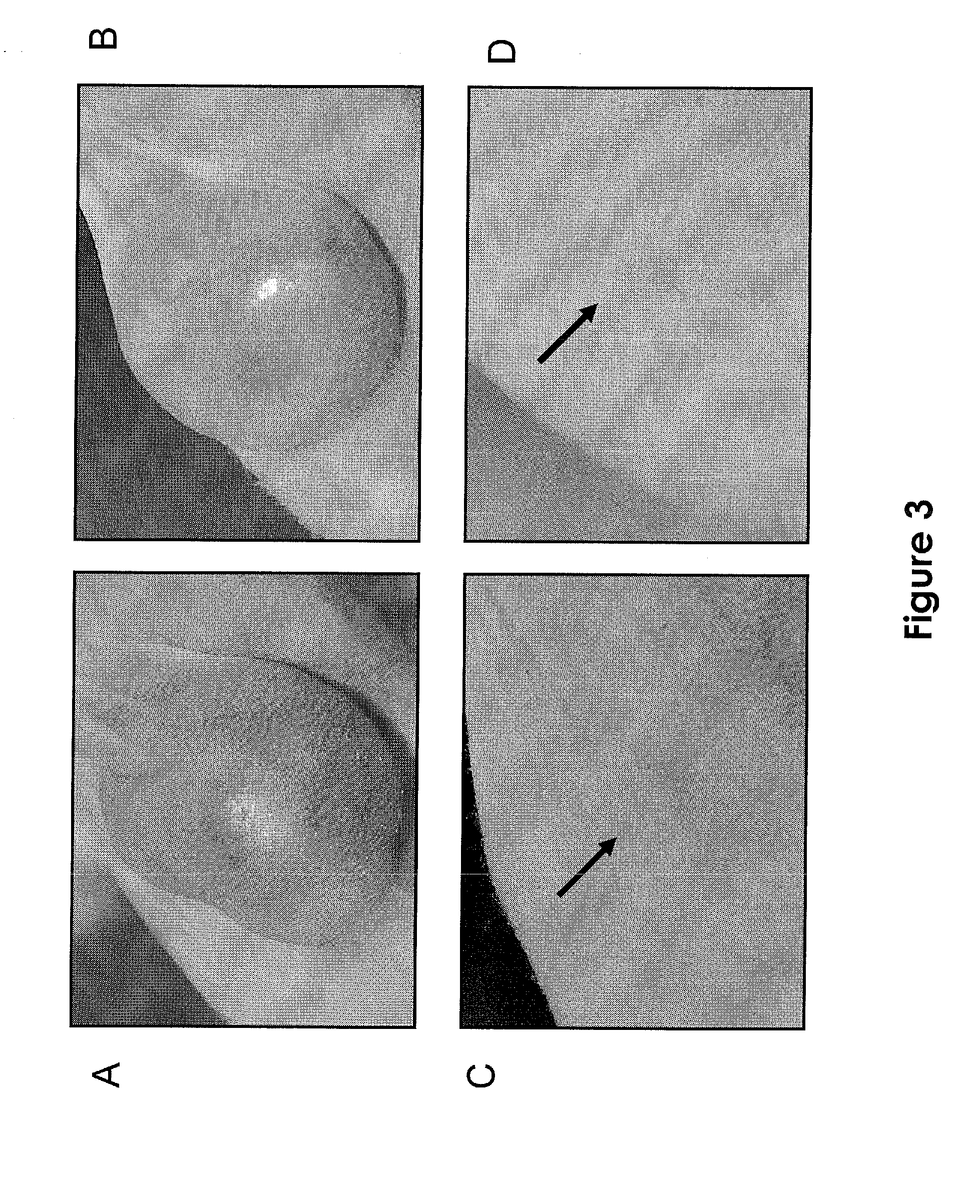 Pharmaceutical compounds