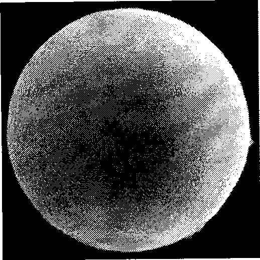 Process for producing monodisperse polymer/calcium carbonate composite fine particle