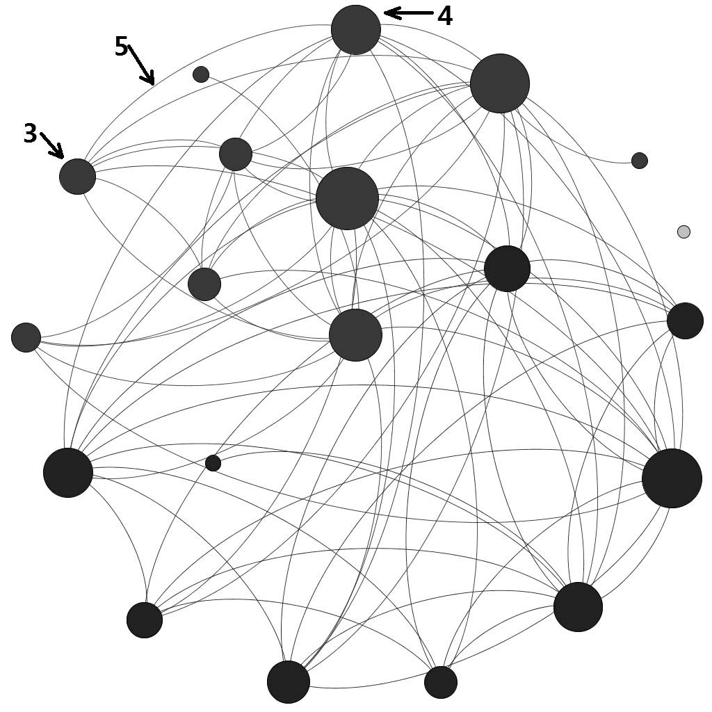 Network modeling method of cardiac mapping signals