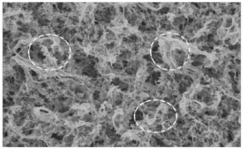 A kind of superhydrophilic polymer microporous membrane and its manufacturing method