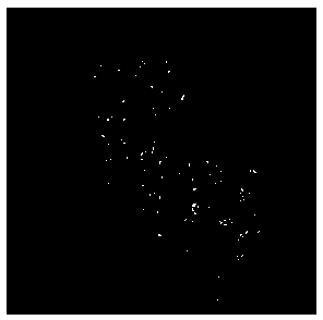 Catalyst for decomposing hydrogen phosphide gas as well as preparation method and application thereof