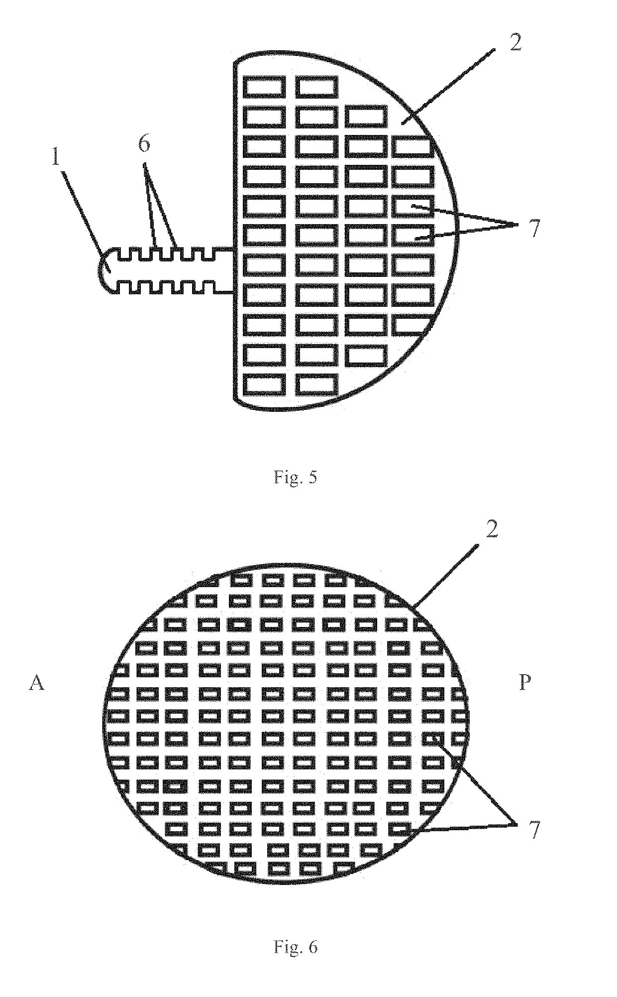 Compositions of Natural Extracts and Use Thereof in Methods for Preventing or Treating Diseases