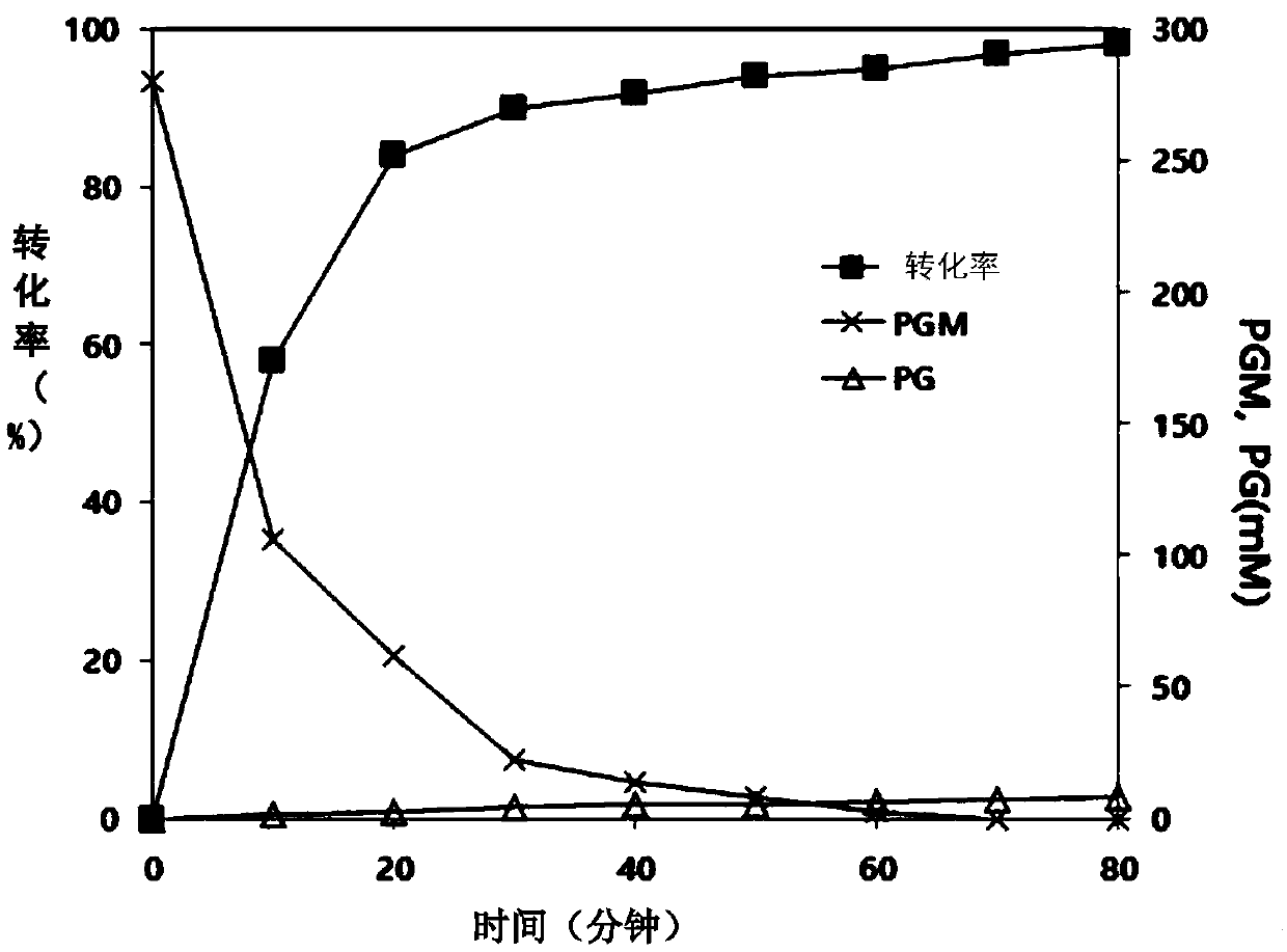 Mutants of penicillin G acylase from Achromobacter sp. CCM 4824 and uses thereof