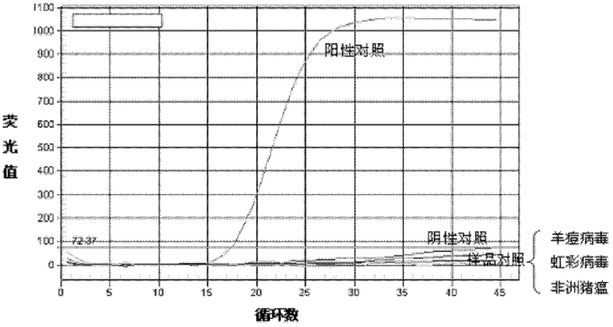 Primers and probe for detecting fragment S of rift valley fever virus