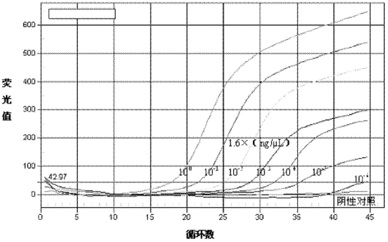 Primers and probe for detecting fragment S of rift valley fever virus