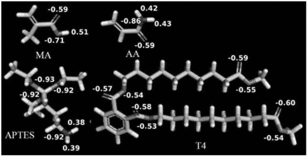 Preparation method as well as product and application of phthalate molecularly imprinted polymer