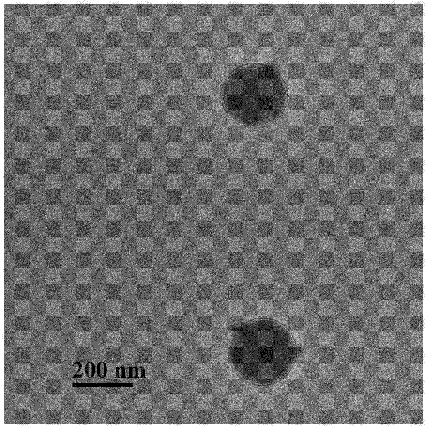 Preparation method as well as product and application of phthalate molecularly imprinted polymer