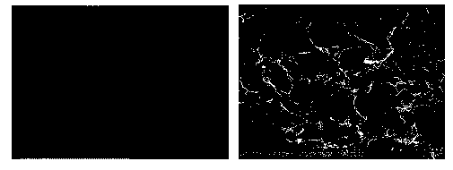 Method for preparing three-dimensional graphene through doping of nanoparticles