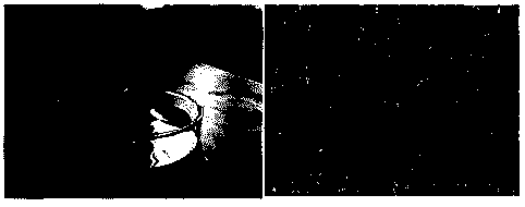 Method for preparing three-dimensional graphene through doping of nanoparticles