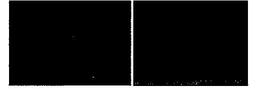 Method for preparing three-dimensional graphene through doping of nanoparticles