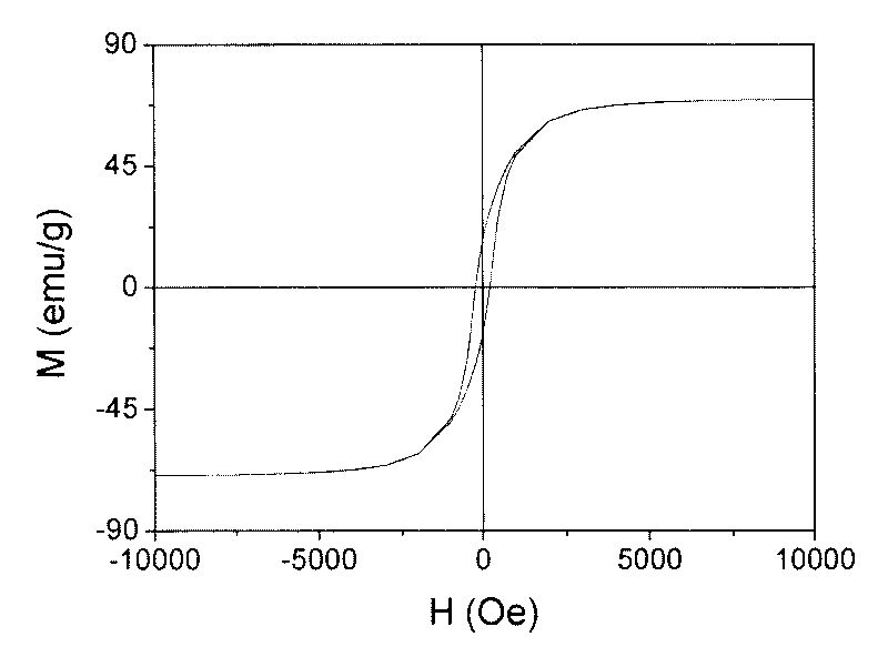 Method for preparing magnetic material taking leopard palm as matrix