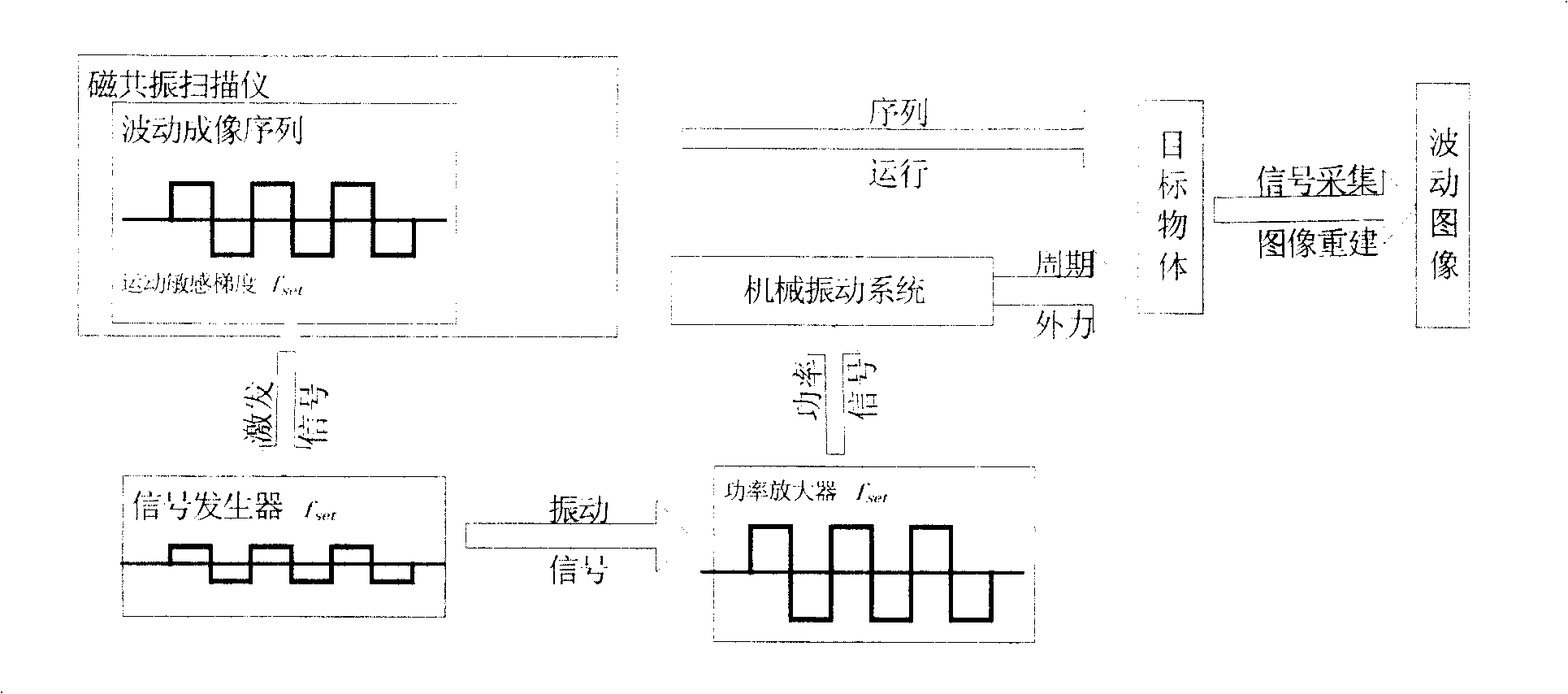 Stable-state front mechanical transverse wave imaging method for magnet resonance elastic diagram technology