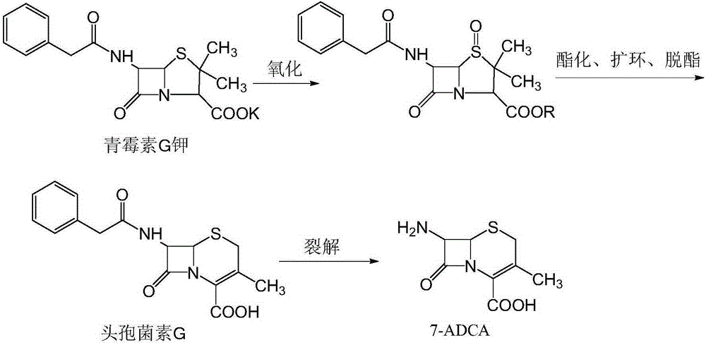 A kind of preparation method of 7-adca