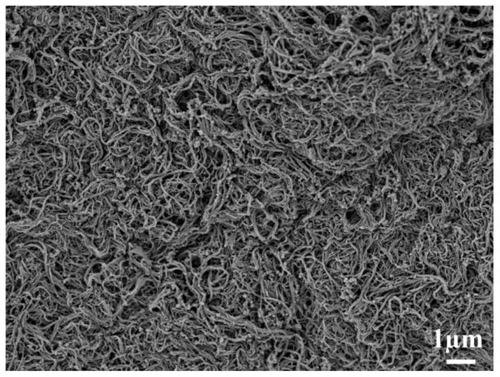 Preparation method of ionic electroactive driver based on carboxylated bacterial cellulose