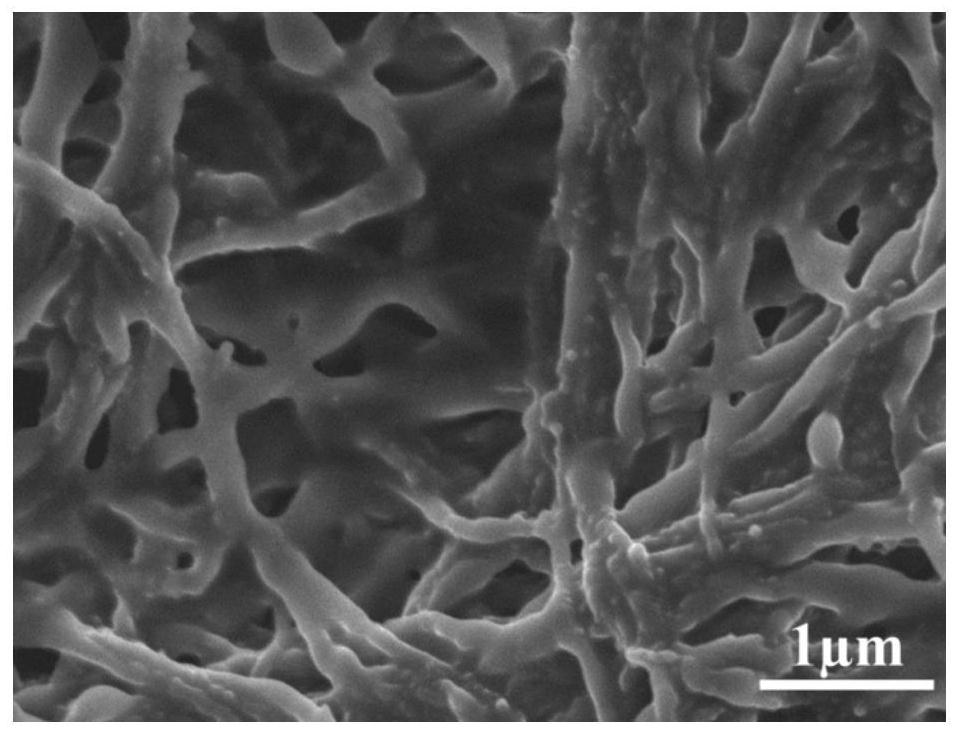 Preparation method of ionic electroactive driver based on carboxylated bacterial cellulose