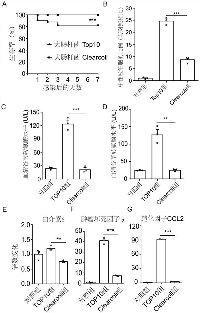 Pharmaceutical composition targeting kuptake cells for treating cancer