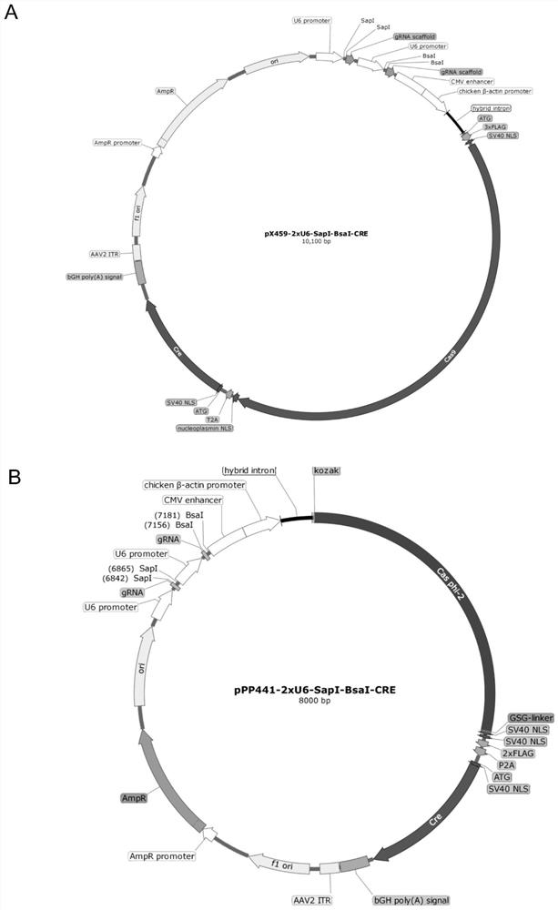 Pharmaceutical composition targeting kuptake cells for treating cancer