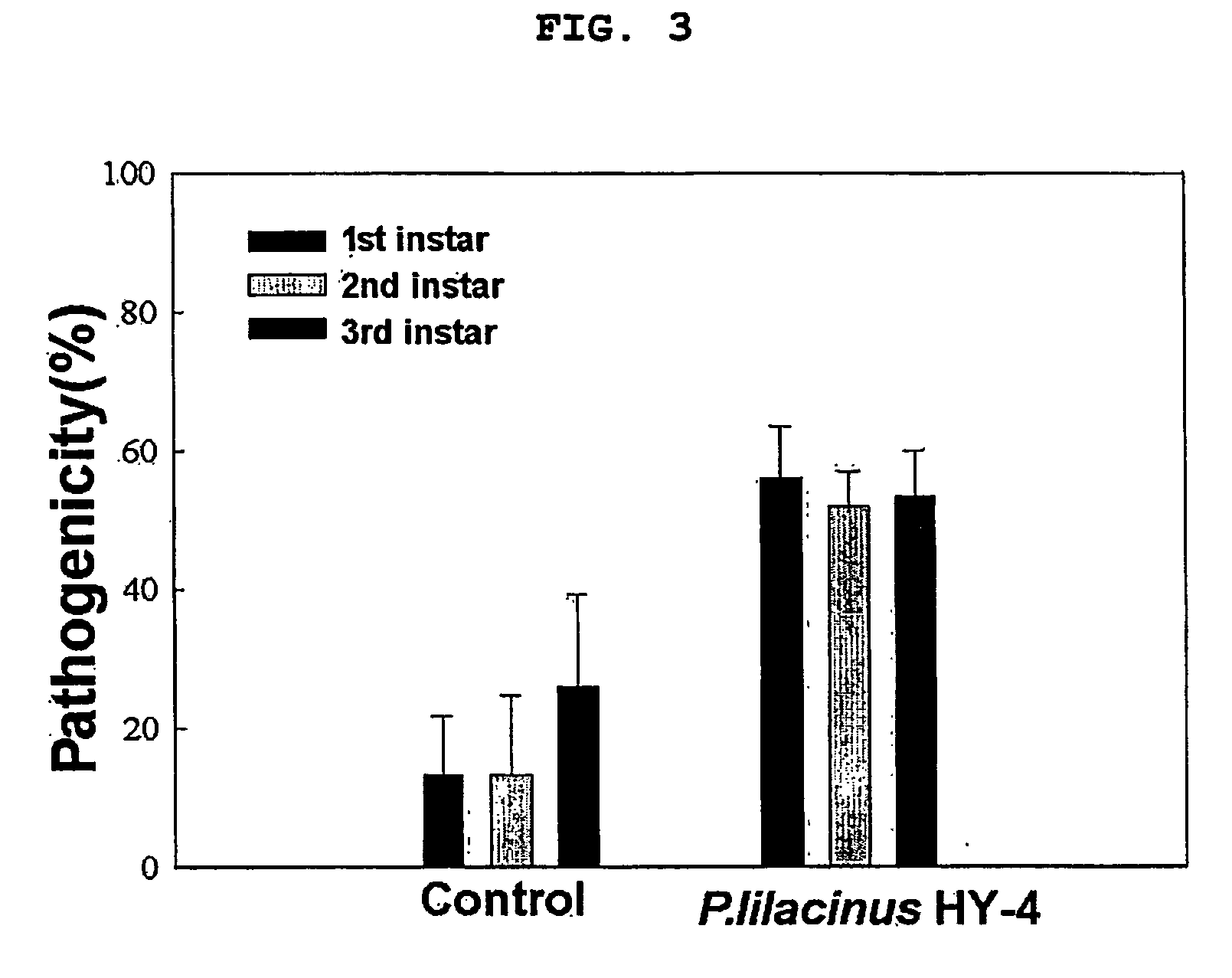 Novel paecilomyces genus microorganism and mircobial insecticide for controlling the soil pests containing the same