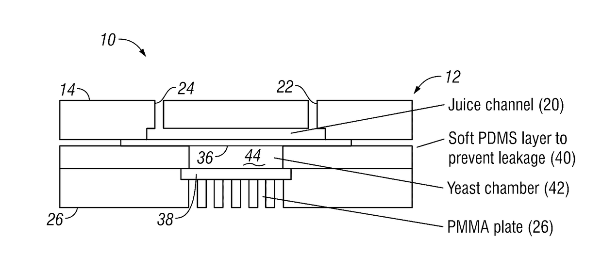 Miniaturized continuous-flow fermenting apparatus, systems, and methods