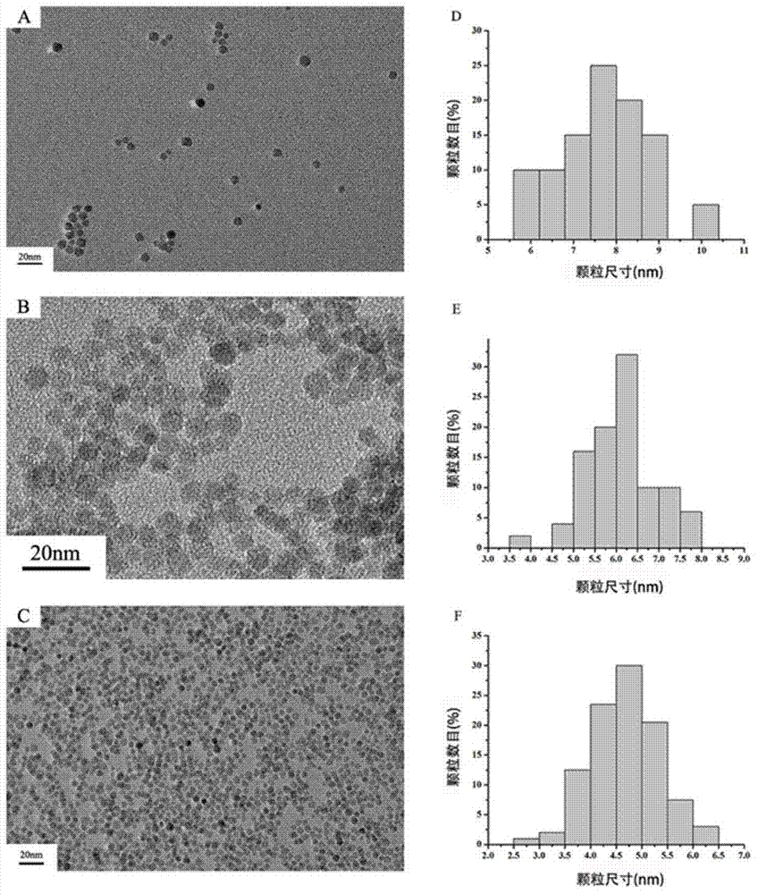 Preparation method and application of RGD-modified ultra-small magnetic iron oxide nanoparticles