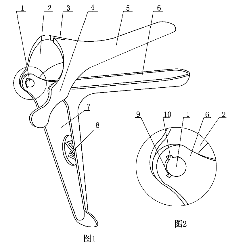 Disposable vagina expander