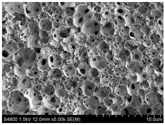 Method for separating and enriching Sudan red series coloring agents in large-volume environment water sample