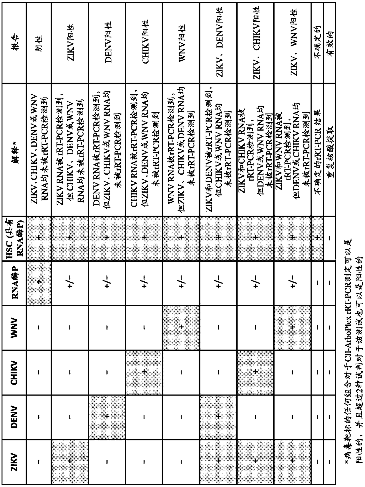 Compositions and methods for the rapid differential detection of zika virus