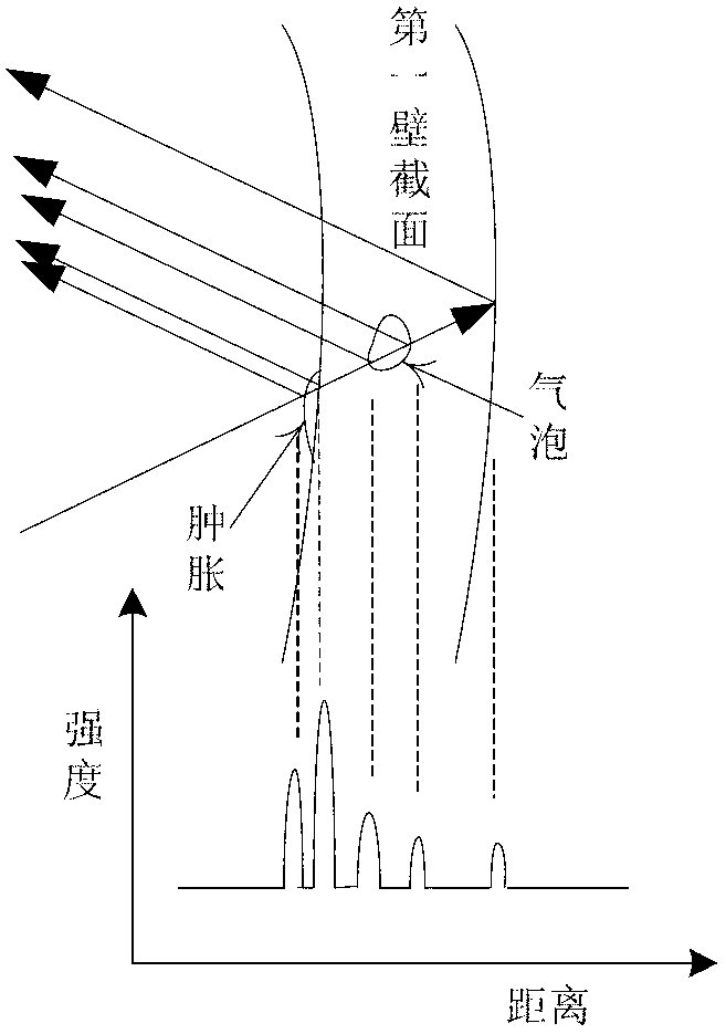 Method for detecting damage of first wall of fusion reactor in real time based on optical coherence tomography