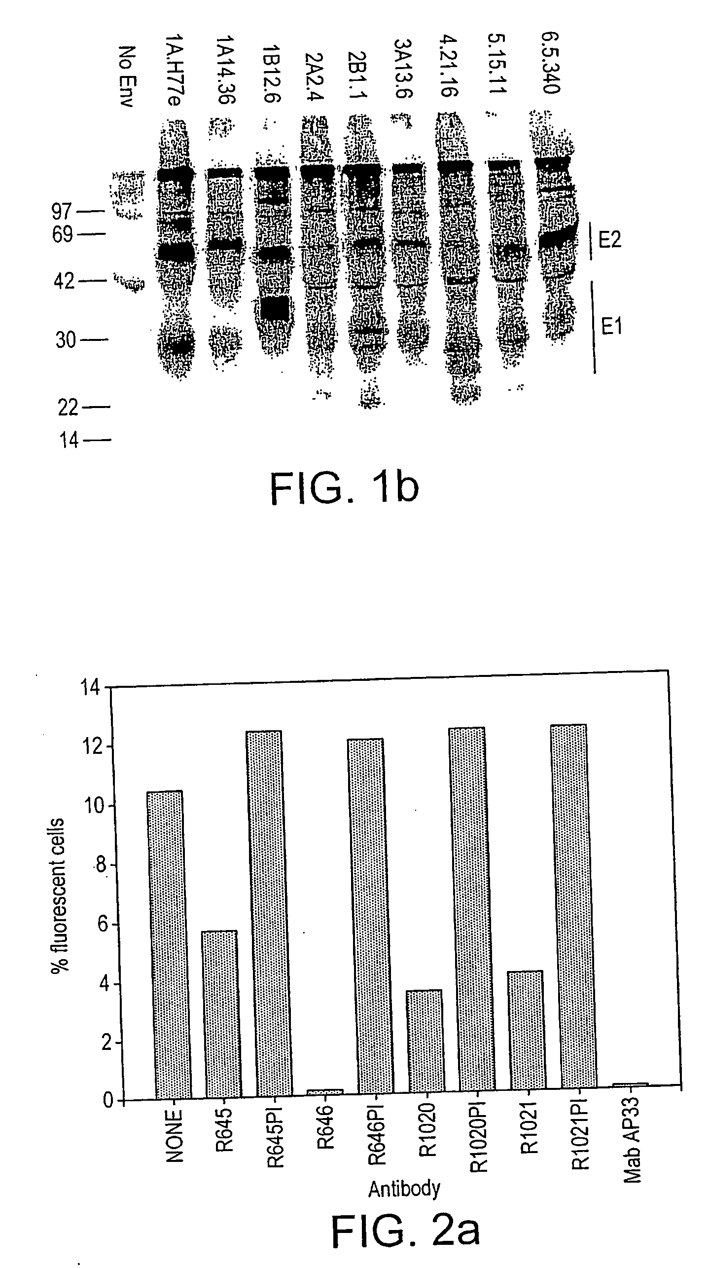 Treatment and prevention of viral infections