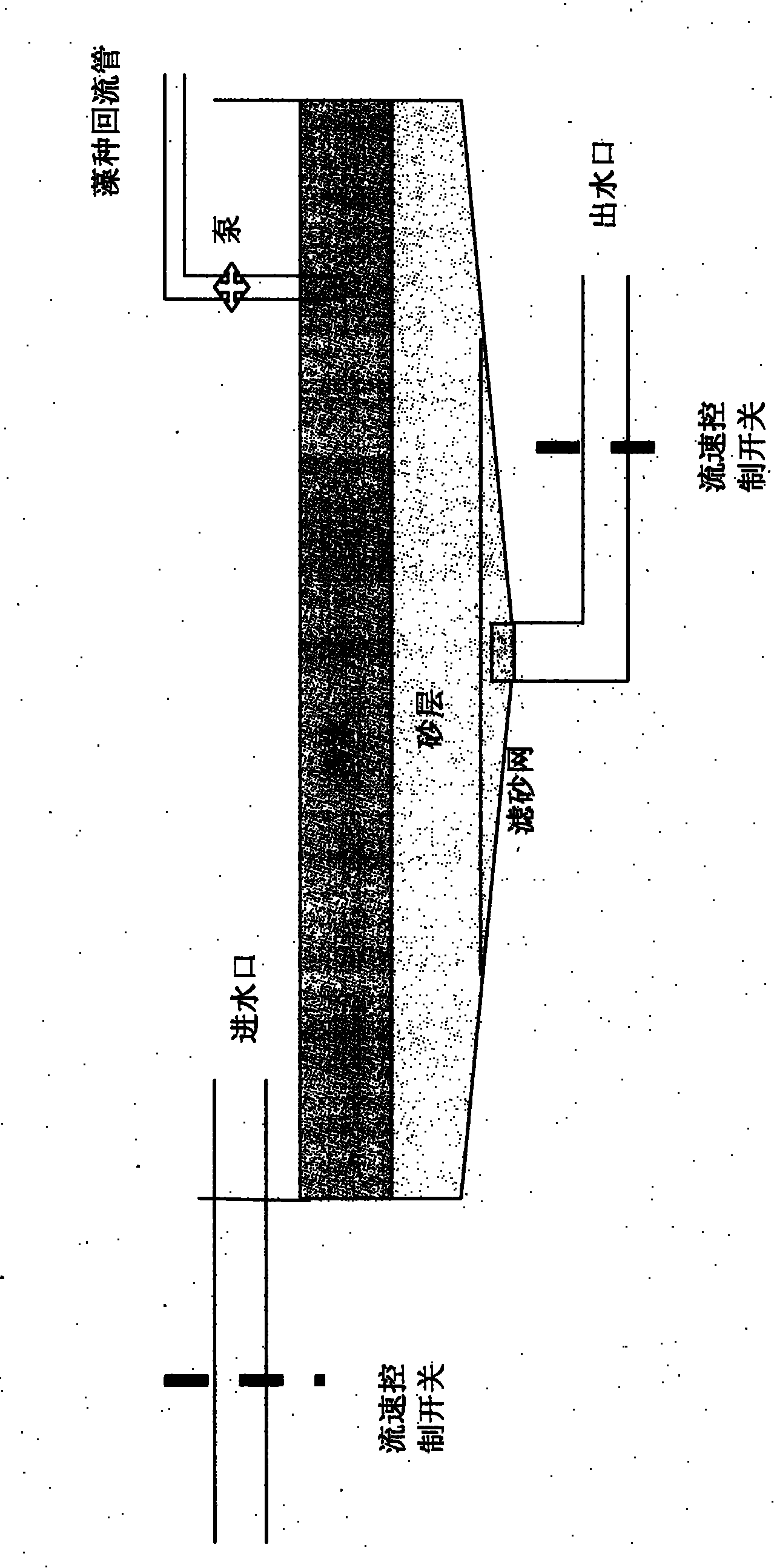 Method for treating eutrophicated water body by using microalgae