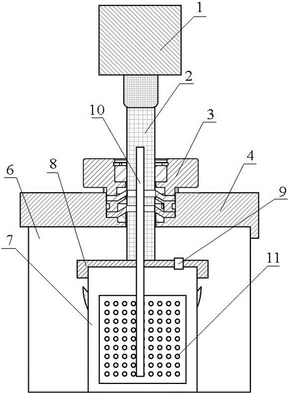 Plastic microsphere surface ozone treatment device