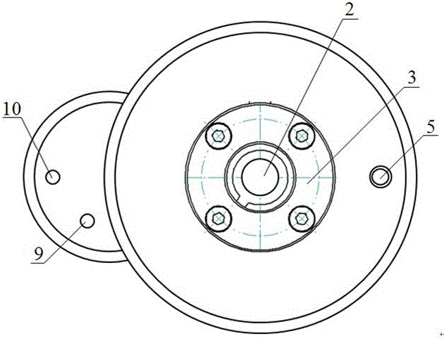 Plastic microsphere surface ozone treatment device