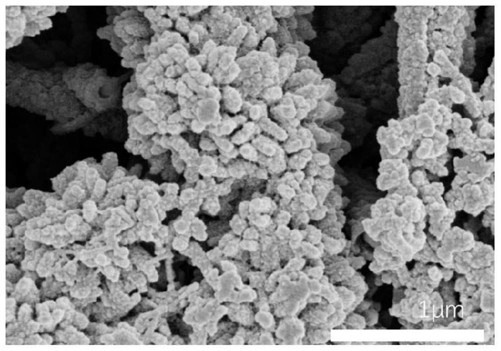 Polyaniline/thermoplastic polymer conductive nanofiber membrane and preparation method thereof