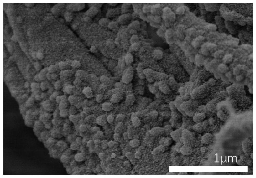 Polyaniline/thermoplastic polymer conductive nanofiber membrane and preparation method thereof