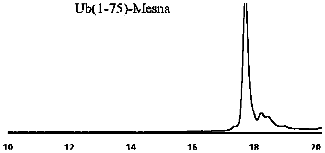 Method for simply synthesizing ubiquitin probe Ub-Rho110-Gly